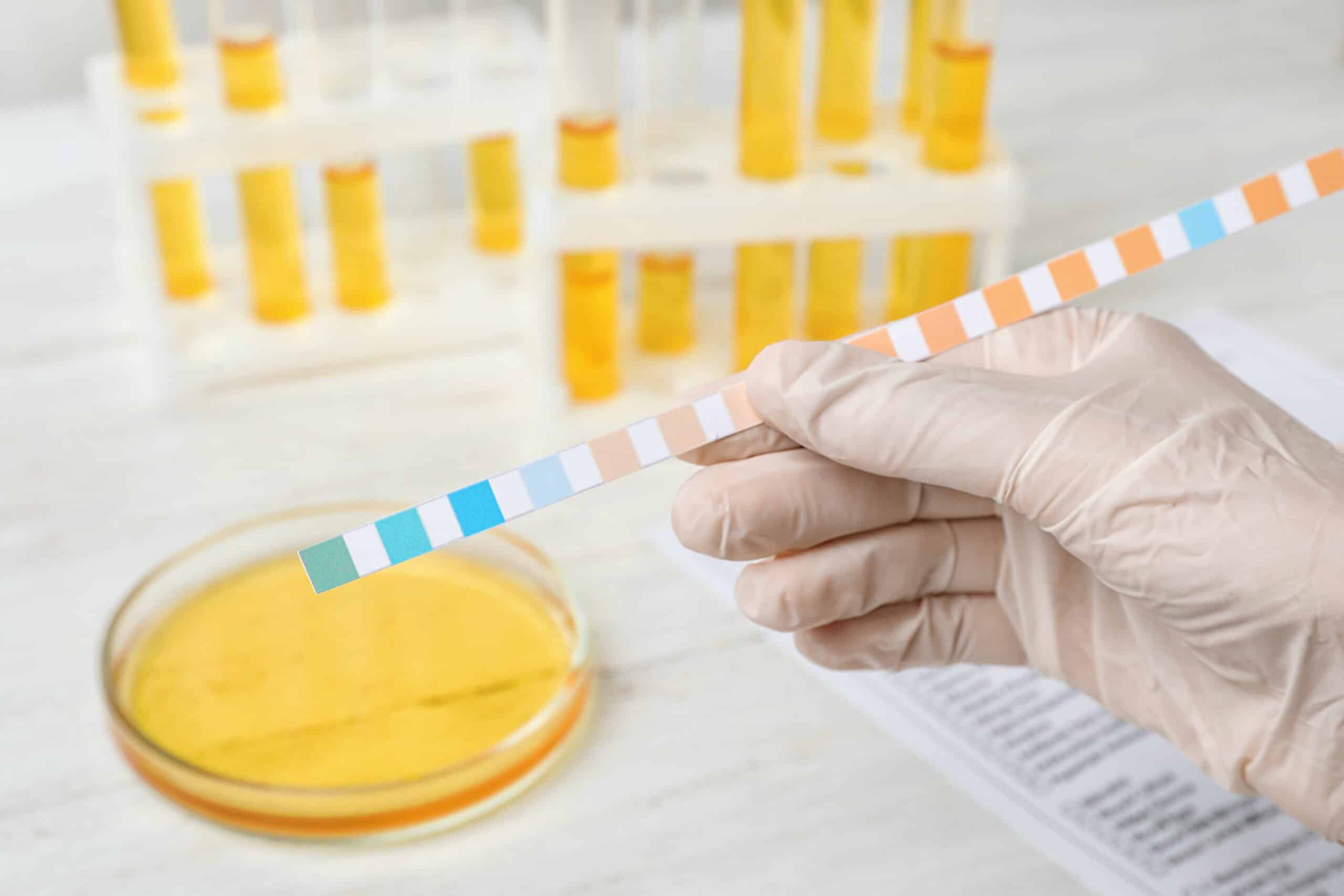 Microbiological Quality Control Testing Laboratory