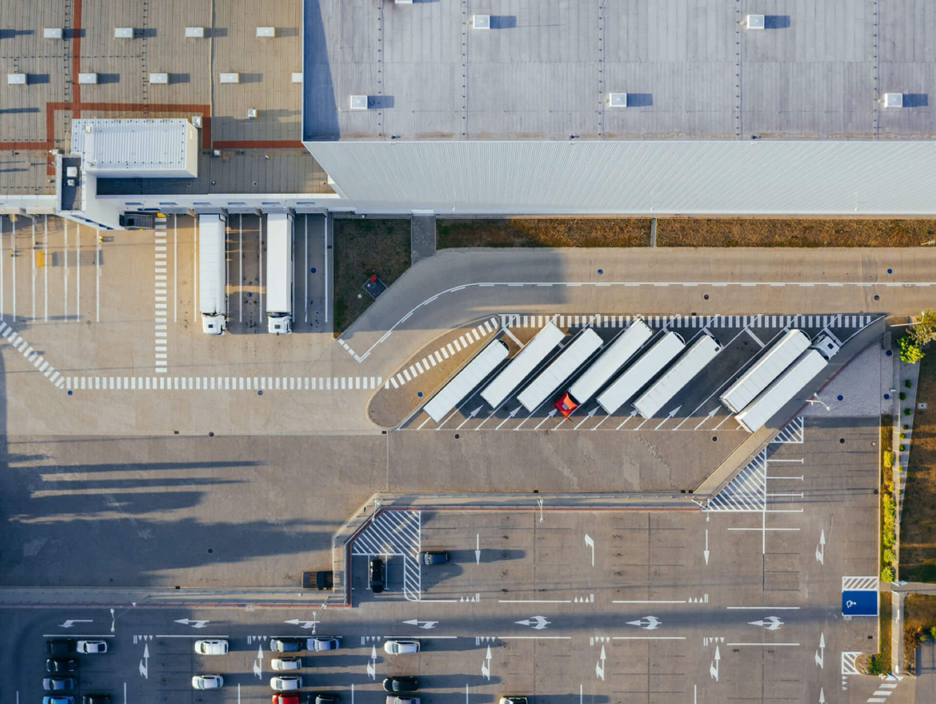 Global Freight Export and Shipping Logistics for Cosmetics